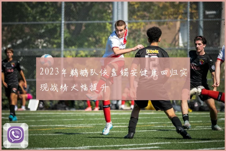 2023年鹈鹕队依靠锡安健康回归实现战绩大幅提升