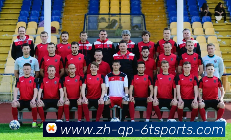 6T体育平台生态图