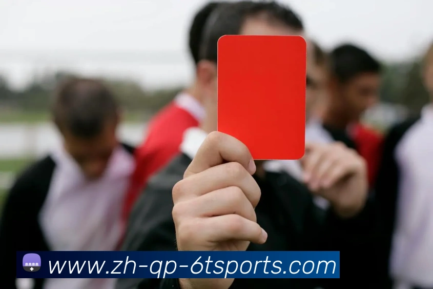 6T体育APP 封面图